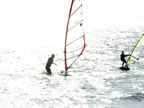 lower-largo-sailing-club-windsurfer-fife
