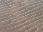 sand-waves-cottage-fife